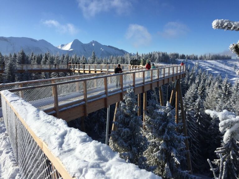 Krakow: Slovakia Treetop Walk & Zakopane With Hot Springs Tour Overview