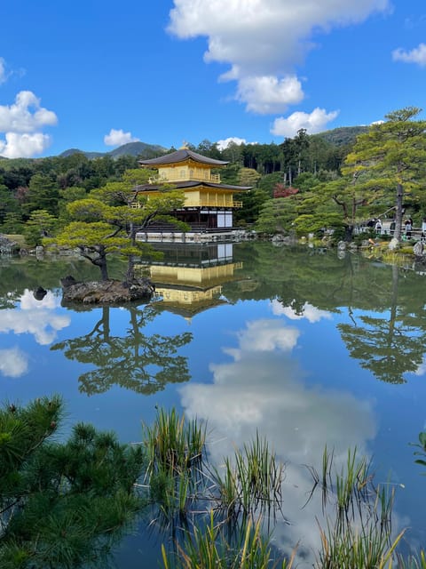 Kyoto: 10 Highlights in 1 Day Walking Tour With Matcha Tea - Tour Overview and Pricing