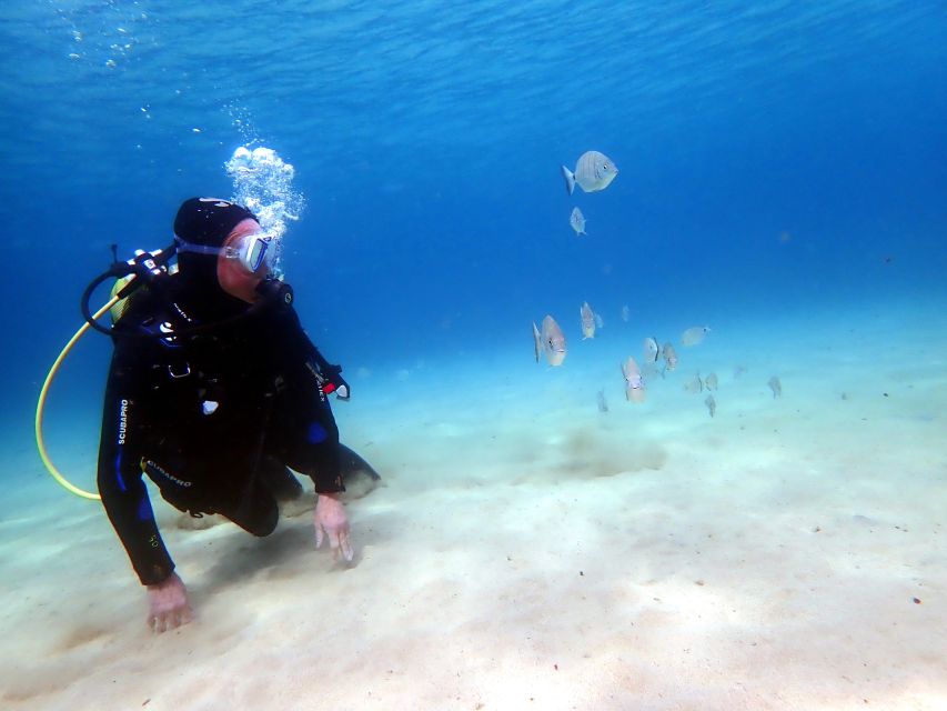 Lanzarote: Small Group Beginner Dive Course Costa Teguise - Customer Testimonials