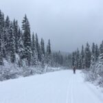 Learn To Cross Country Ski In Lake Louise Overview Of Cross Country Skiing