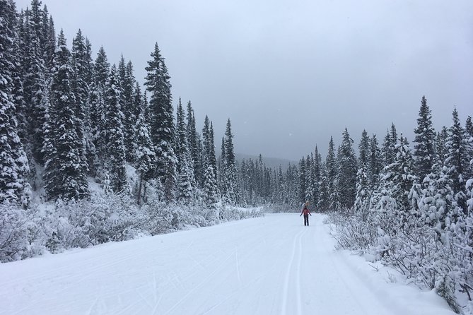 Learn to Cross Country Ski in Lake Louise - Overview of Cross-Country Skiing