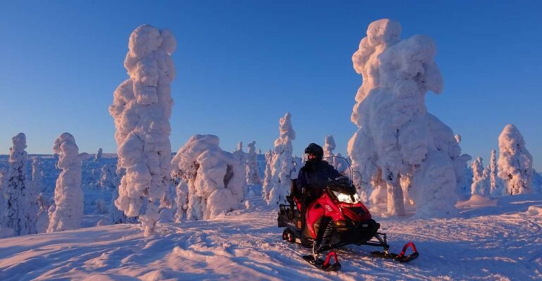 Levi: Evening Snowmobile Safari Overview Of The Safari