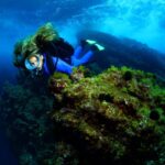 Lisbon: 4 Day Advanced Open Water Diver Course Dive Destinations