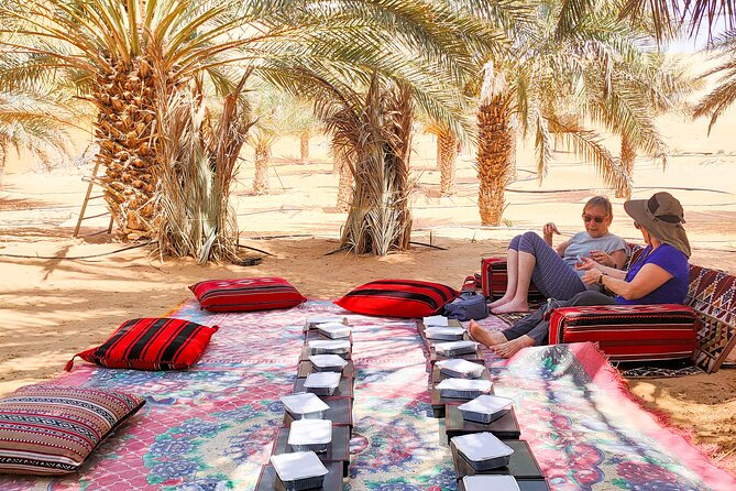 Liwa Oasis Desert Drive From Abu Dhabi - Discovering the Rub Al Khali Desert