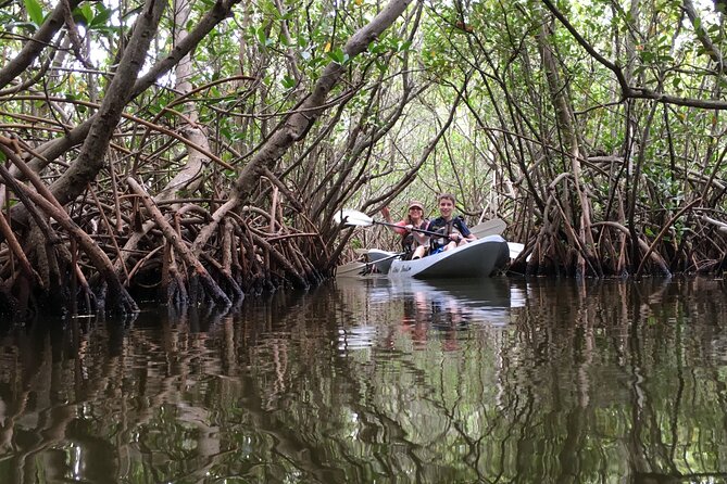 Mangrove Tunnels, Dolphins, Manatee Tour #1 Rated in Cocoa Beach - Overview of the Tour