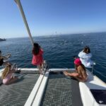 Marbella: Catamaran Tour With Dolphin Watching Tour Overview