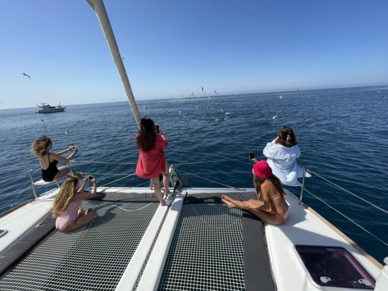 Marbella: Catamaran Tour With Dolphin Watching Tour Overview