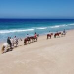 Melides: Horseback Riding On Melides Beach Activity Overview