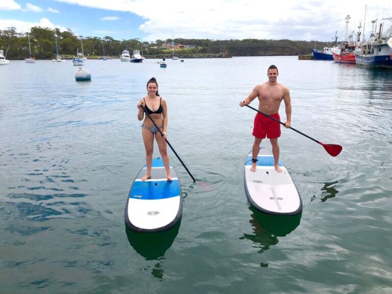 Miami: Biscayne Bay Kayak Or Paddleboard Rental Activity Overview