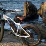 Monterey: 17 Mile Drive Guided E Bike Tour Tour Overview