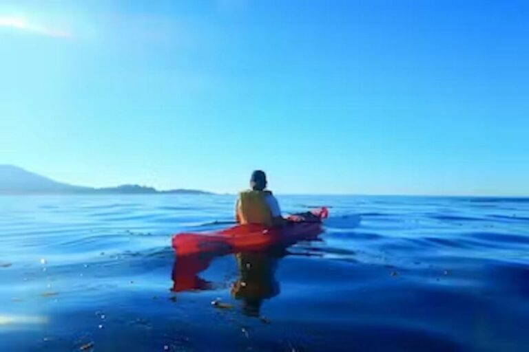 Monterey: Pebble Beach Kayak Tour Activity Overview