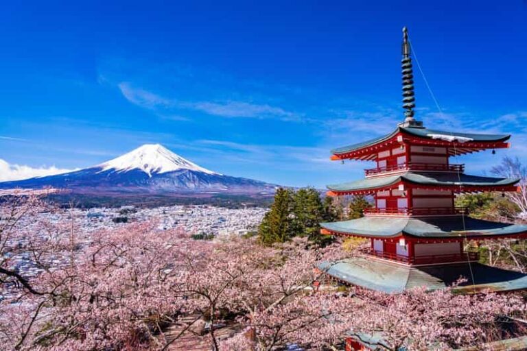 Mount Fuji 1 Day Trip: The Hottest Photography Tour Tour Overview