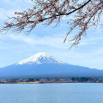 Mt Fuji: Full Day Private Tour From Tokyo By Luxury Vehicle Tour Overview And Pricing