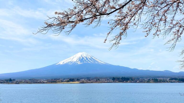 Mt Fuji: Full Day Private Tour From Tokyo By Luxury Vehicle Tour Overview And Pricing