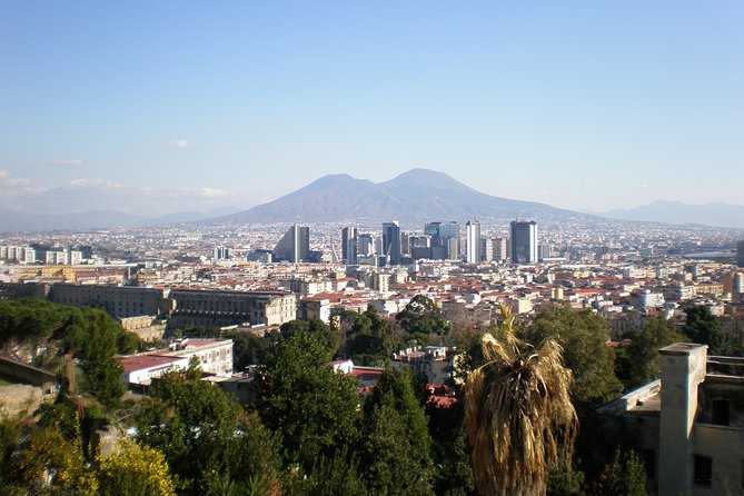 Mt Vesuvius Half-Day Trip From Naples - Inclusions