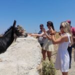 Mykonos: Highlights Tour With Panagia Tourliani Monastery Overview Of The Mykonos Highlights Tour