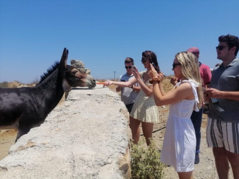 Mykonos: Highlights Tour With Panagia Tourliani Monastery Overview Of The Mykonos Highlights Tour