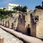 Naples: Pompeii, Herculaneum, And Vesuvius Tour By Minivan Itinerary Highlights