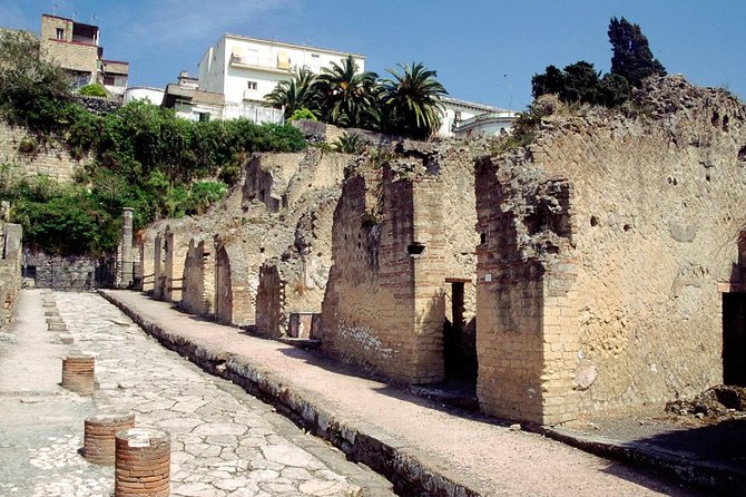 Naples: Pompeii, Herculaneum, and Vesuvius Tour by Minivan - Itinerary Highlights