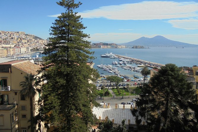 Naples Shore Excursion:Small Group Naples City Sightseeing Tour - Tour Overview and Details