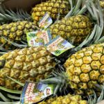 Oahu: North Shore Dole Pineapple Farm Tour Tour Overview