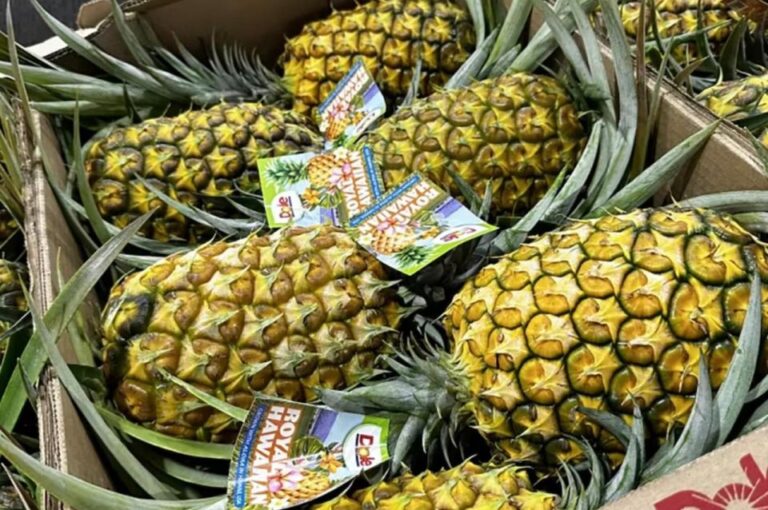 Oahu: North Shore Dole Pineapple Farm Tour Tour Overview