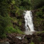 Oahu: North Shore Waterfall Swim Activity Details