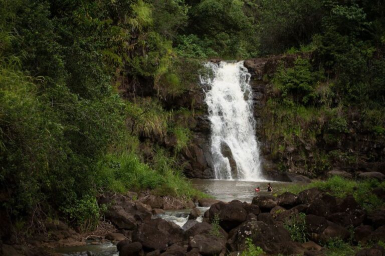 Oahu: North Shore Waterfall Swim Activity Details