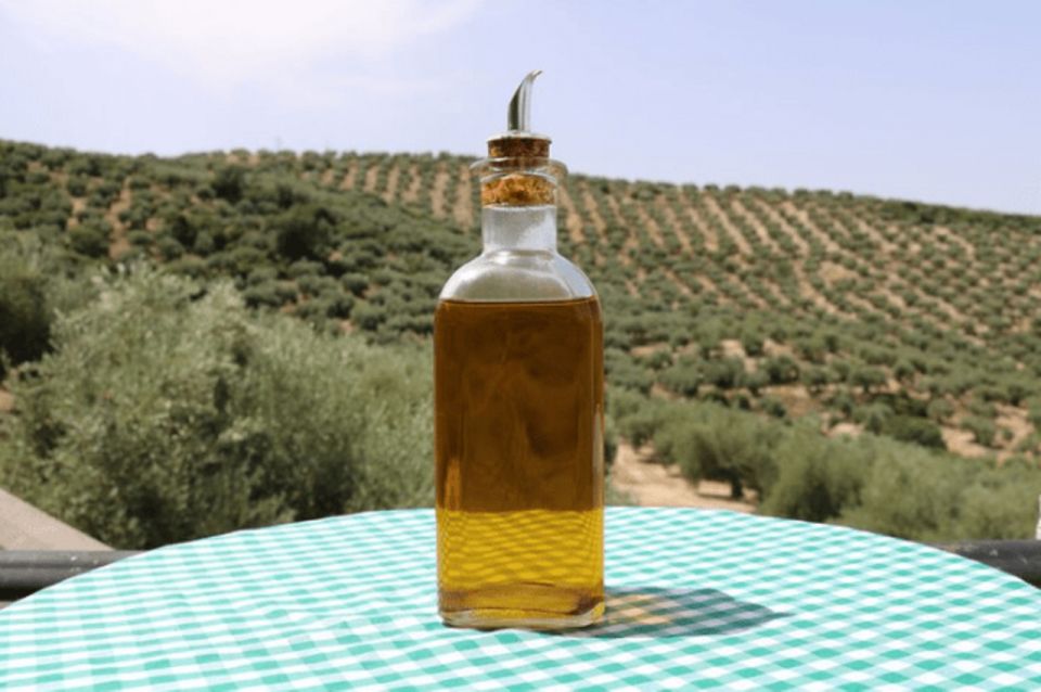 Olive Oil Factory From Sevilla Private Tour - Exploring the Historic Hacienda