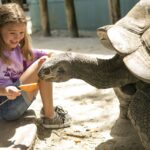 Orlando: Gatorland Skip The Line Ticket Ticket Pricing And Cancellation Policy