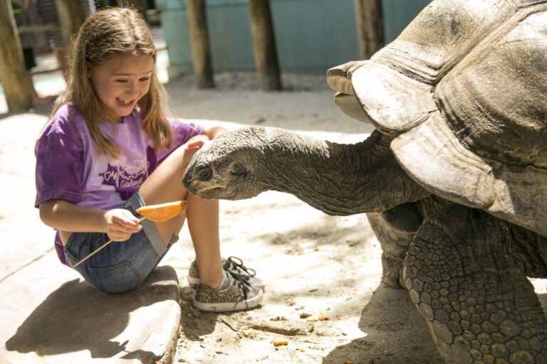 Orlando: Gatorland Skip The Line Ticket Ticket Pricing And Cancellation Policy