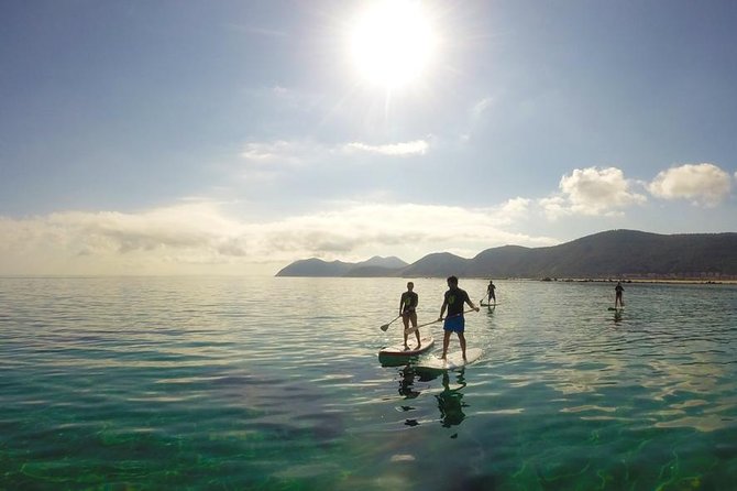 Paddle Surfing in Cantabria - Overview of the Experience