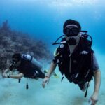 Padi Open Water Scuba Diving Course In Bayahibe Certification And Prerequisites