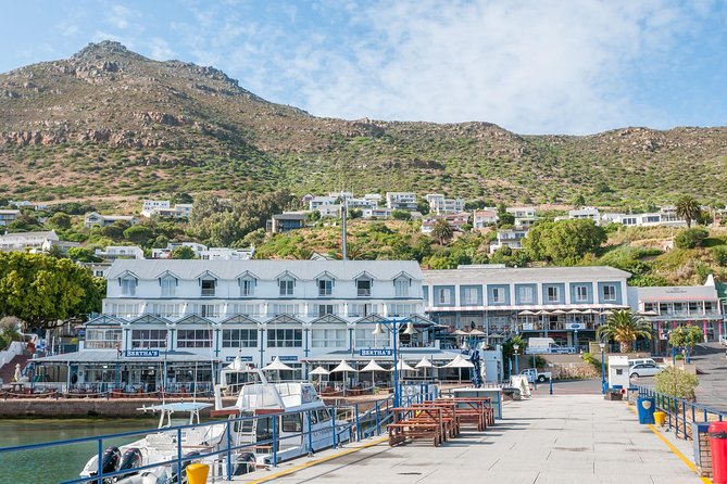 Penguin Encounter Boulders Beach Half Tour Day From Cape Town - Tour Exclusions