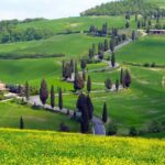 Pienza, Montalcino, Brunello Wine And Pecorino Cheese Private Tour From Florence Tour Overview