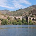 Pinhão: Douro Valley Rabelo Boat Tour And Kayak Experience Tour Overview