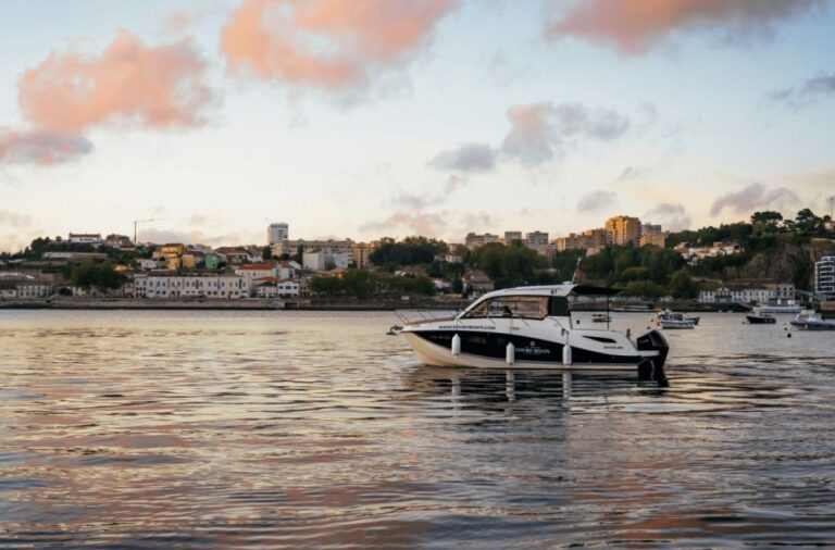 Porto: Private Boat Tour In Douro River Tour Overview