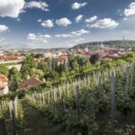 Prague: 3–hour Castle Grounds Walking Tour And River Cruise Tour Overview