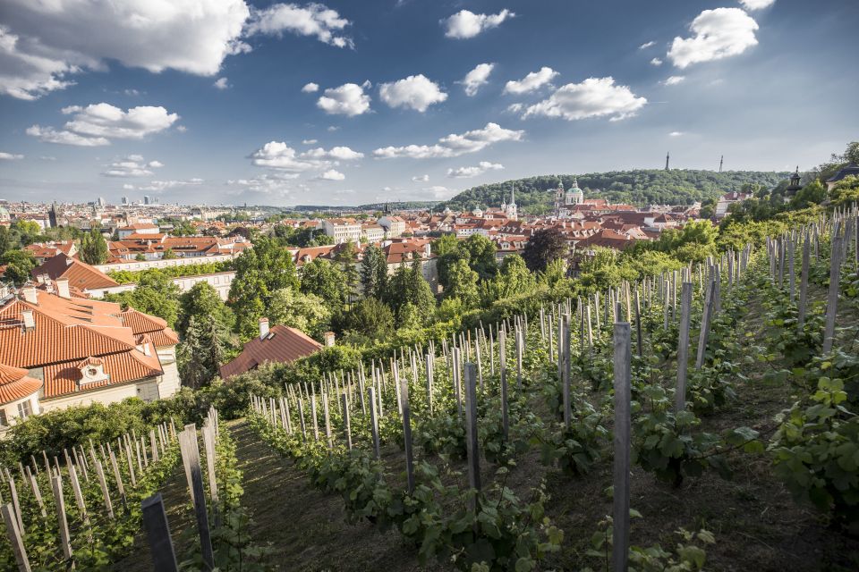 Prague: 3–Hour Castle Grounds Walking Tour and River Cruise - Tour Overview