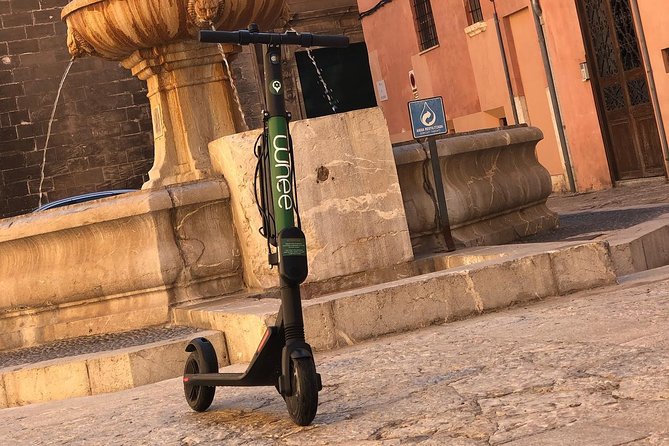 Premium Electric Scooter Rental With Optional Delivery - Rental Inclusions