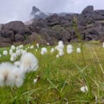 Private 12 Hour Jeep Tour In Landmannalaugar From Reykjavik Tour Details