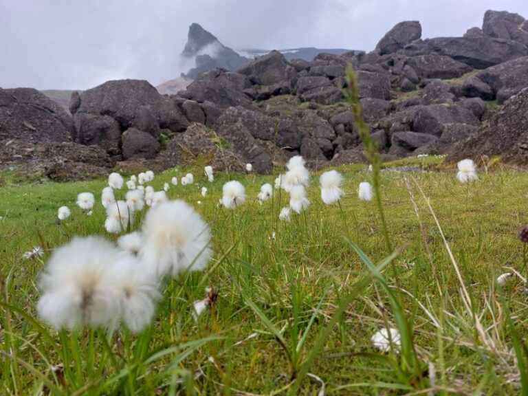 Private 12 Hour Jeep Tour In Landmannalaugar From Reykjavik Tour Details