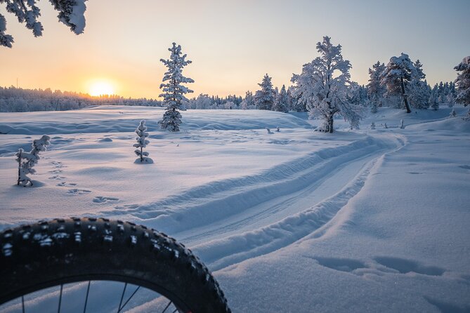 Private Electric Fat Bike Tour in Saariselkä - Overview of the Tour