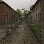 Private Guided Tour From Prague To Auschwitz Birkenau Tour Overview