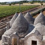 Private Wine Tour From Ostuni With Lunch Including Alberobello And Locorotondo Tour Overview And Highlights