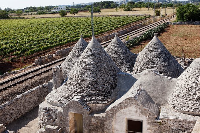 Private Wine Tour From Ostuni With Lunch Including Alberobello and Locorotondo - Tour Overview and Highlights