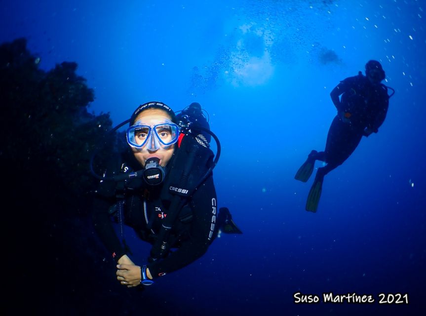 Puerto Del Carmen: Try Suba Diving With 2 Dives and Photos - Whats Included in the Experience