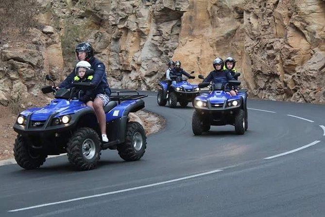 Quad Safari Teide National Park - Overview of the Quad Safari