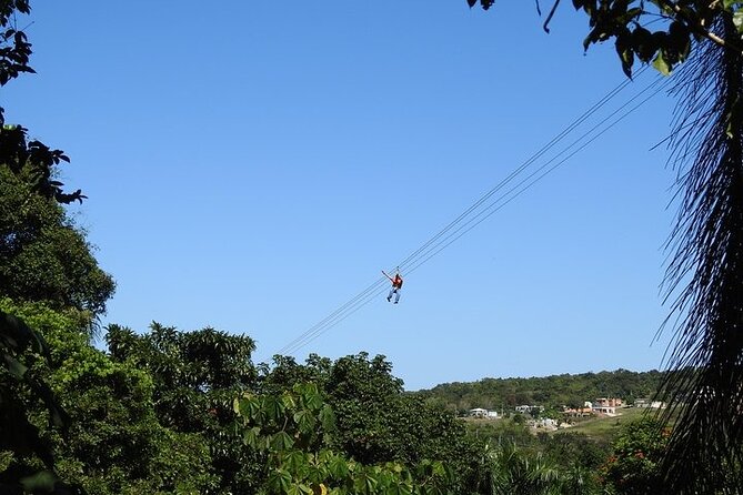 Rainforest Zipline in Foothills of the National Rainforest - Included in the Experience