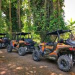 Rastasafari Experience Atv Adventure And Local Day Out Experience Overview